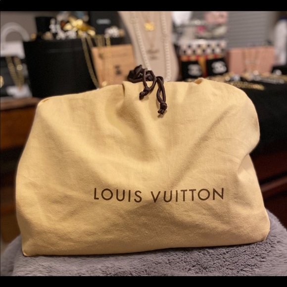 🌹💯% AUTHENTIC LV HANDBAG 🌹ORIGINAL OWNER 🌹EXCELLENT PREOWNED CONDITION🌹 - Picture 12 of 14